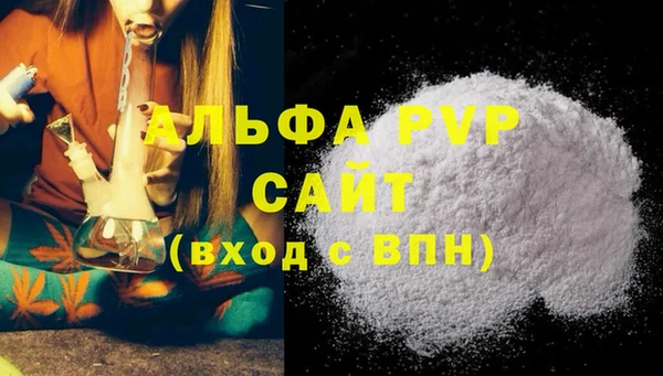 PSILOCYBIN Аркадак