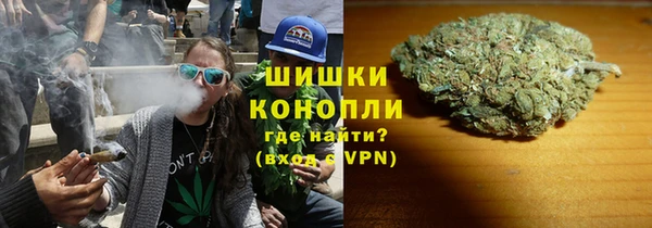 PSILOCYBIN Аркадак