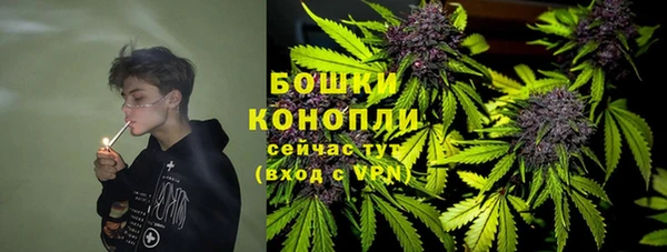 PSILOCYBIN Аркадак
