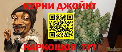 прущие грибы Новозыбков