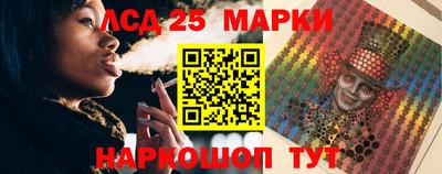 прущие грибы Новозыбков