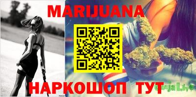 прущие грибы Новозыбков