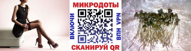 магазин    Тейково  Галлюциногенные грибы мухоморы 