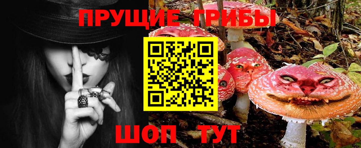 Тейково  Псилоцибиновые грибы Cubensis  Вход с VPN  Галлюциногенные грибы Magic Shrooms 