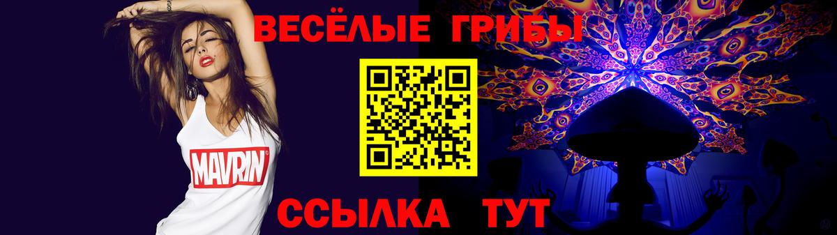Псилоцибиновые грибы Psilocybe Тейково